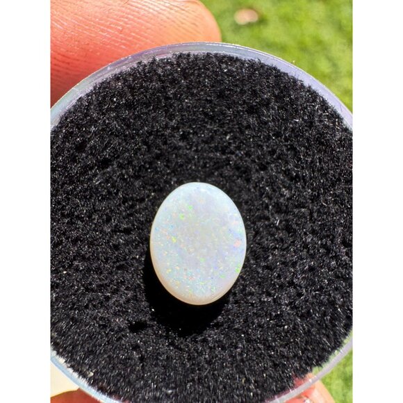 Australian Opal Cabochon - 1.1 carats in Display Box #51 - Picture 3 of 4